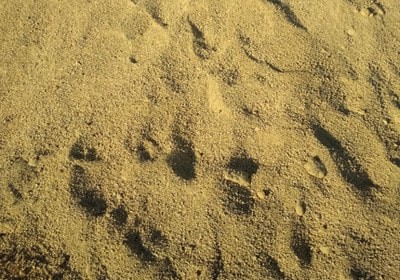 ملات کرسی چینی